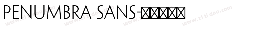 PENUMBRA SANS字体转换